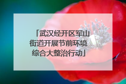 武汉经开区军山街道开展节前环境综合大整治行动