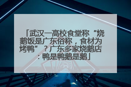 武汉一高校食堂称“烧鹅饭是广东俗称，食材为烤鸭”？广东多家烧鹅店：鸭是鸭鹅是鹅