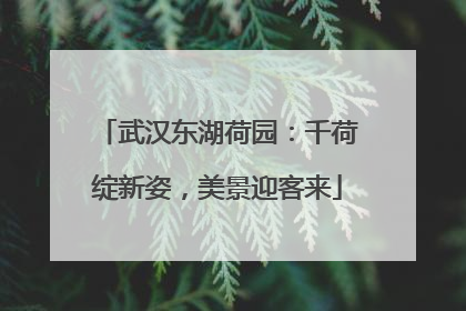 武汉东湖荷园：千荷绽新姿，美景迎客来
