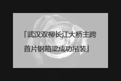 武汉双柳长江大桥主跨首片钢箱梁成功吊装