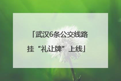 武汉6条公交线路挂“礼让牌”上线