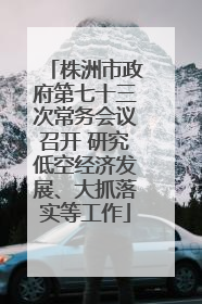 株洲市政府第七十三次常务会议召开 研究低空经济发展、大抓落实等工作