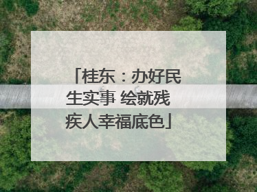 桂东：办好民生实事 绘就残疾人幸福底色