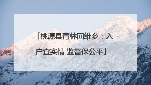 桃源县青林回维乡：入户查实情 监督保公平
