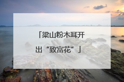 梁山粉木耳开出“致富花”