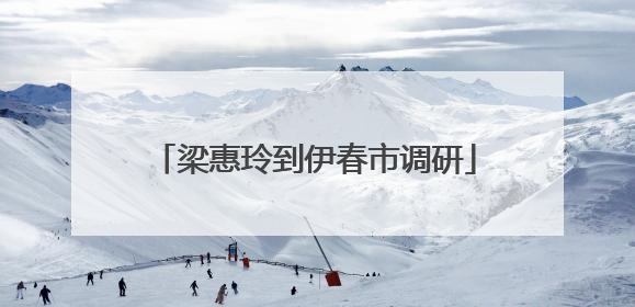 梁惠玲到伊春市调研