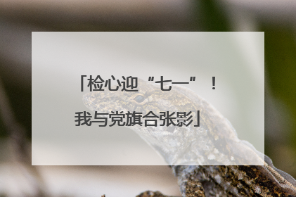 检心迎“七一”！我与党旗合张影