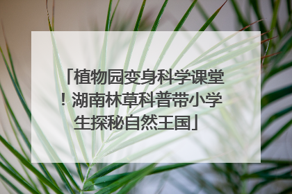 植物园变身科学课堂！湖南林草科普带小学生探秘自然王国