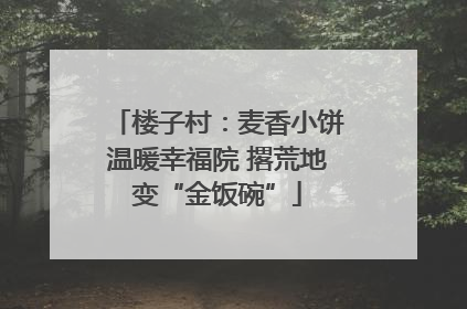 楼子村：麦香小饼温暖幸福院 撂荒地变“金饭碗”