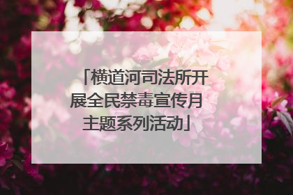 横道河司法所开展全民禁毒宣传月主题系列活动