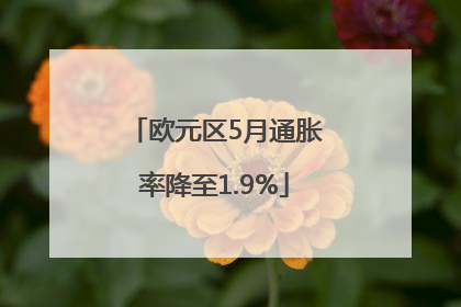 欧元区5月通胀率降至1.9%