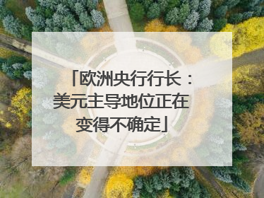 欧洲央行行长：美元主导地位正在变得不确定