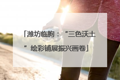 潍坊临朐：“三色沃土”绘彩铺展振兴画卷