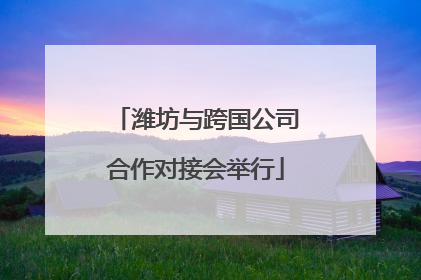 潍坊与跨国公司合作对接会举行