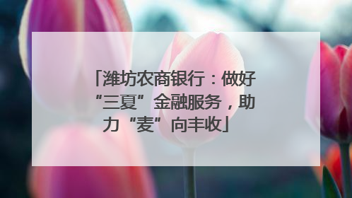 潍坊农商银行：做好“三夏”金融服务，助力“麦”向丰收