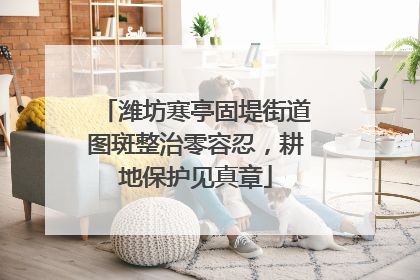 潍坊寒亭固堤街道图斑整治零容忍，耕地保护见真章