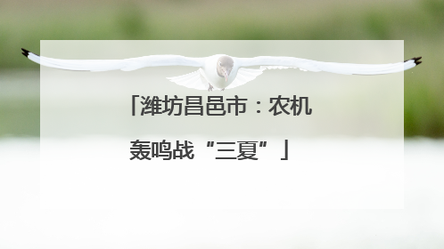 潍坊昌邑市：农机轰鸣战“三夏”