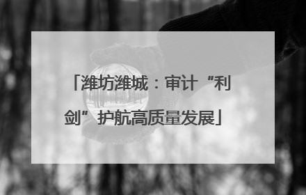 潍坊潍城：审计“利剑”护航高质量发展