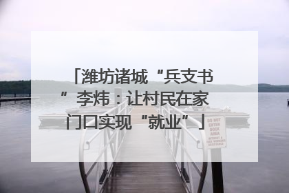 潍坊诸城“兵支书”李炜：让村民在家门口实现“就业”