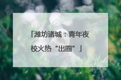 潍坊诸城：青年夜校火热“出圈”