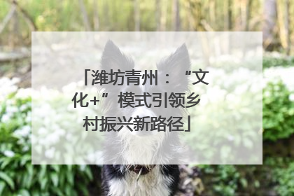 潍坊青州：“文化+”模式引领乡村振兴新路径