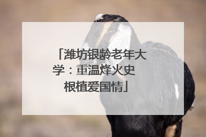 潍坊银龄老年大学：重温烽火史 根植爱国情