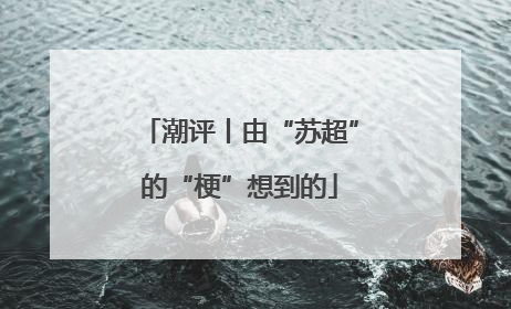 潮评丨由“苏超”的“梗”想到的