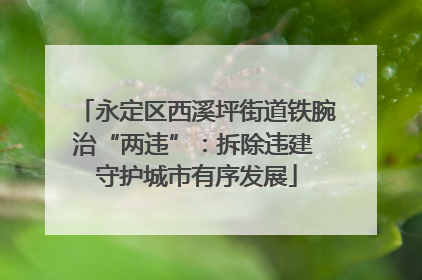 永定区西溪坪街道铁腕治“两违”：拆除违建 守护城市有序发展