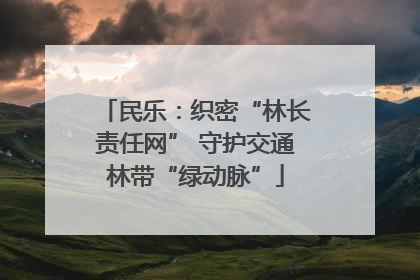 民乐：织密“林长责任网” 守护交通林带“绿动脉”