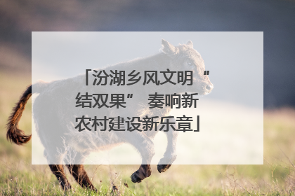 汾湖乡风文明“结双果” 奏响新农村建设新乐章