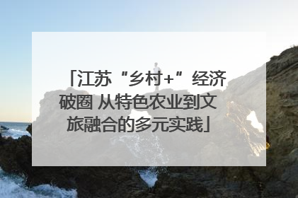 江苏“乡村+”经济破圈 从特色农业到文旅融合的多元实践