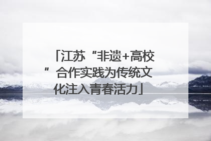 江苏“非遗+高校”合作实践为传统文化注入青春活力