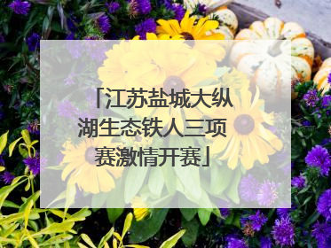 江苏盐城大纵湖生态铁人三项赛激情开赛