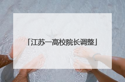 江苏一高校院长调整