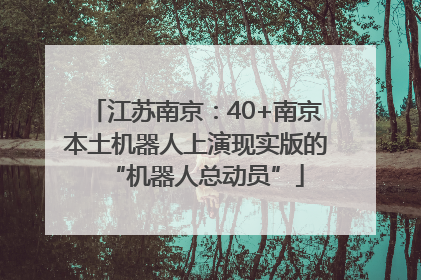 江苏南京：40+南京本土机器人上演现实版的“机器人总动员”