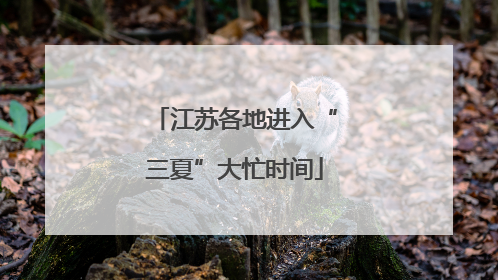 江苏各地进入“三夏”大忙时间