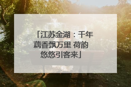 江苏金湖：千年藕香飘万里 荷韵悠悠引客来