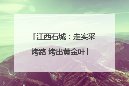 江西石城：走实采烤路 烤出黄金叶