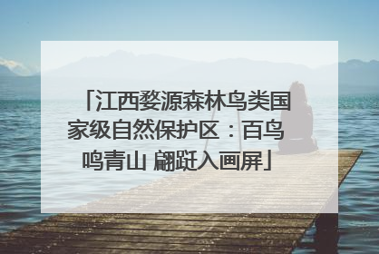 江西婺源森林鸟类国家级自然保护区：百鸟鸣青山 翩跹入画屏