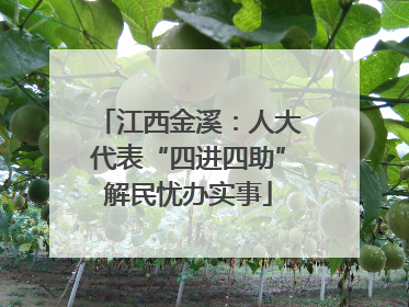 江西金溪：人大代表“四进四助”解民忧办实事