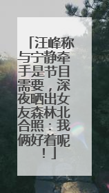 汪峰称与宁静牵手是节目需要，深夜晒出女友森林北合照：我俩好着呢！