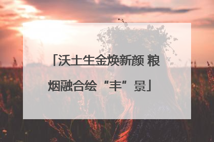 沃土生金焕新颜 粮烟融合绘“丰”景