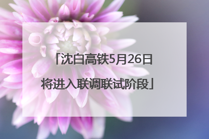 沈白高铁5月26日将进入联调联试阶段
