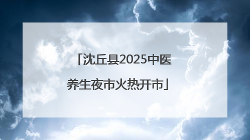 沈丘县2025中医养生夜市火热开市