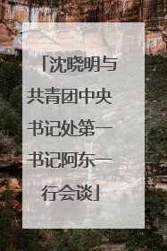 沈晓明与共青团中央书记处第一书记阿东一行会谈