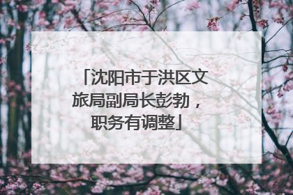 沈阳市于洪区文旅局副局长彭勃，职务有调整
