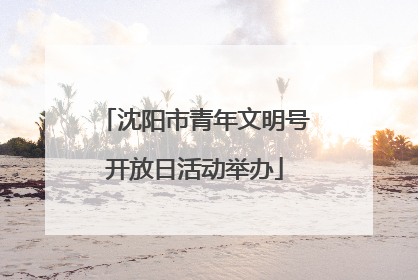 沈阳市青年文明号开放日活动举办
