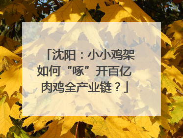 沈阳：小小鸡架如何“啄”开百亿肉鸡全产业链？