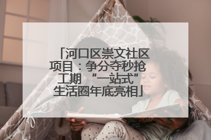 河口区崇文社区项目：争分夺秒抢工期 “一站式”生活圈年底亮相