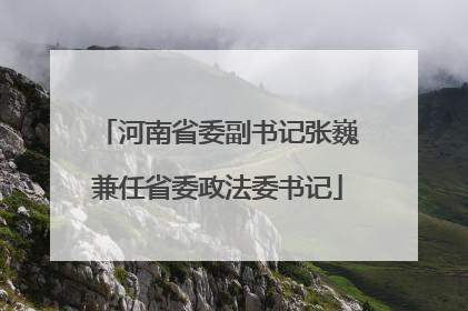 河南省委副书记张巍兼任省委政法委书记